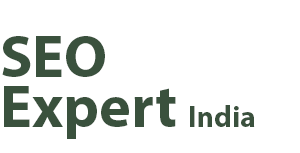 SEO Expert India official logo - Expert SEO Services